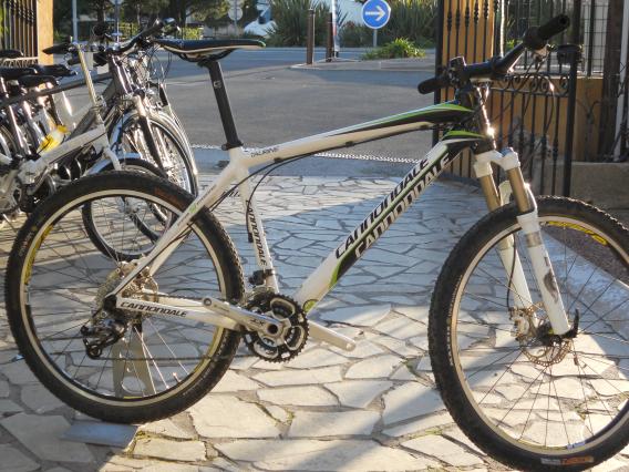 CANNONDALE TAURINE  