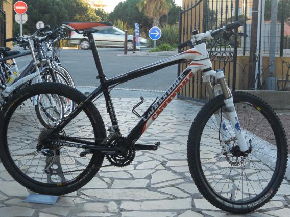 CANNONDALE TAURINE  2
