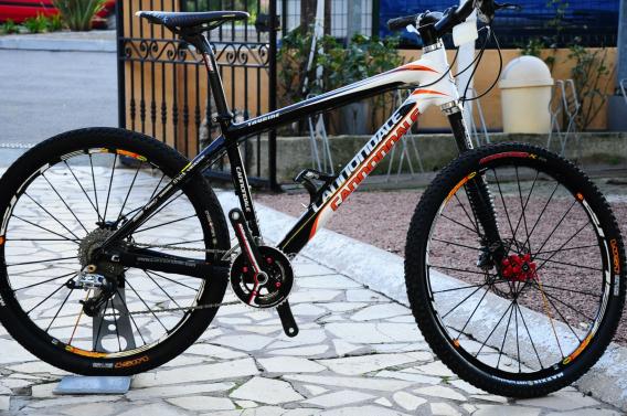 CANNONDALE TAURINE TEAM