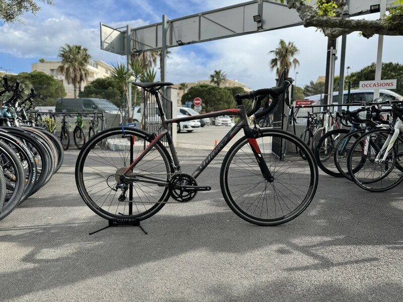 ROUTE WILIER MONTEGRAPPA Taille M
