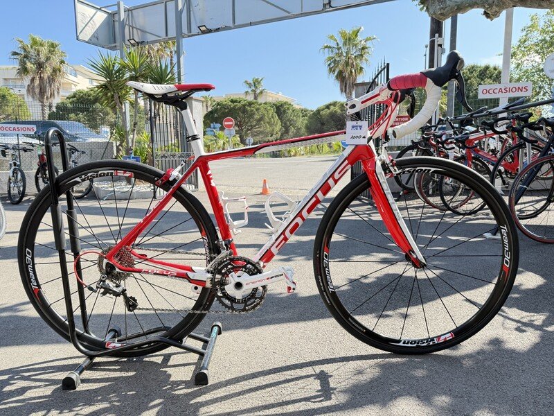 ROUTE FOCUS EVO Taille 50
