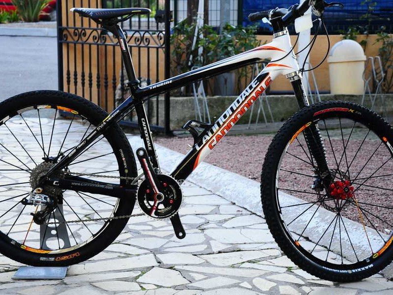 CANNONDALE TAURINE TEAM