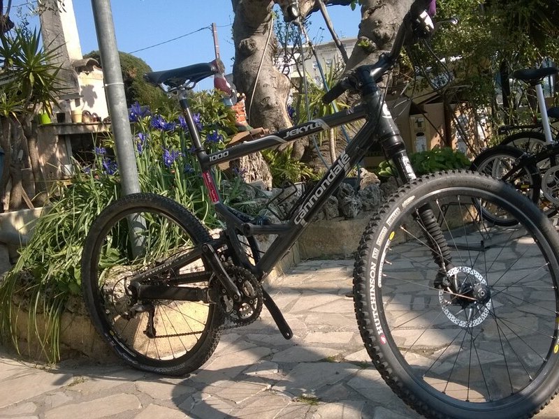 cannondale jeckyll 